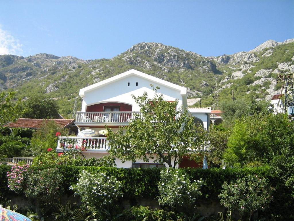 Apartments Biga Donji Morinj Exterior photo